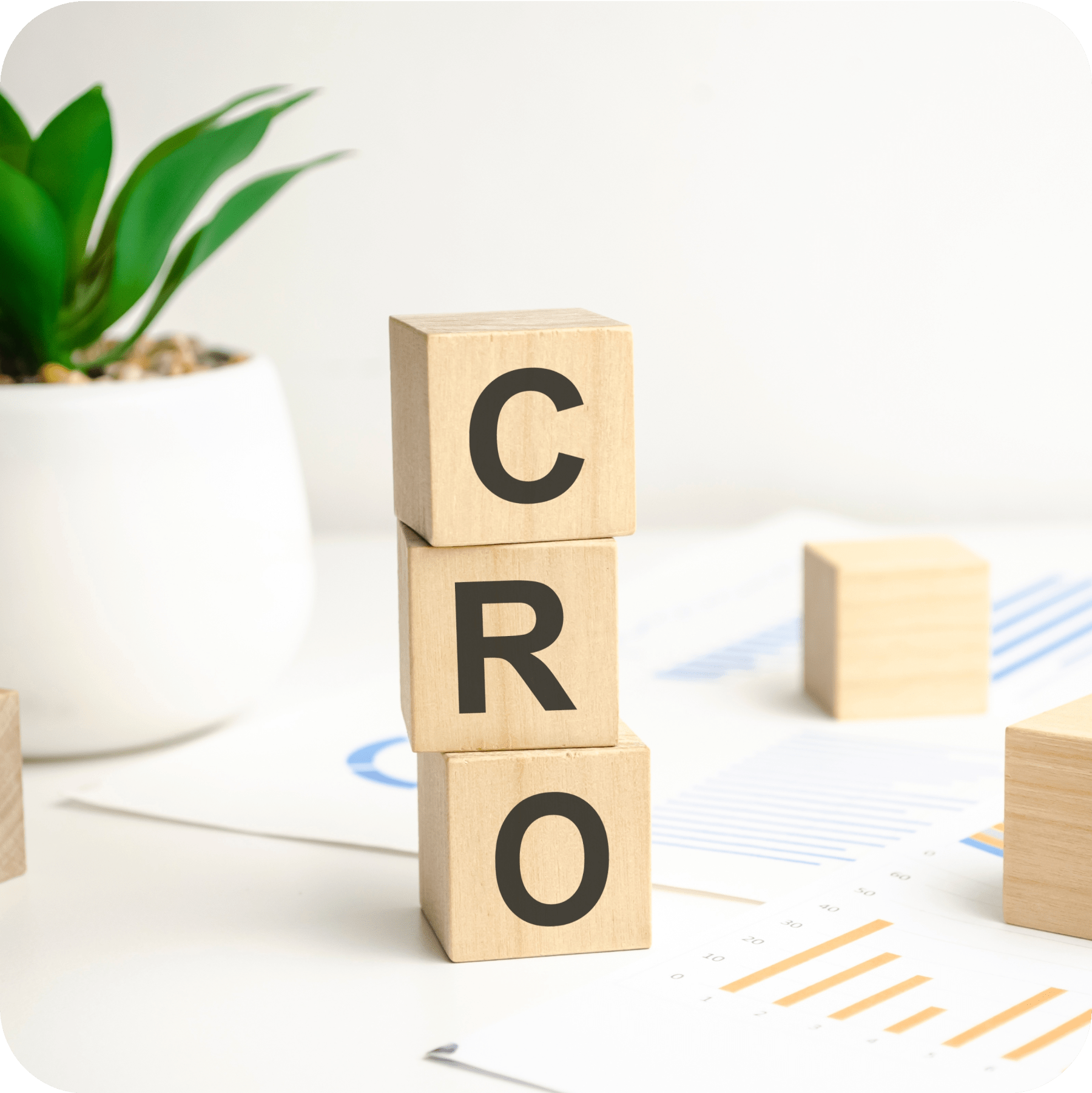 Conversation Rate Optimization